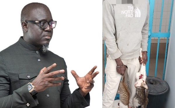 Tahirou Sarr : « Si nous proposons d’interdire la vente d’aliments par des étrangers… »