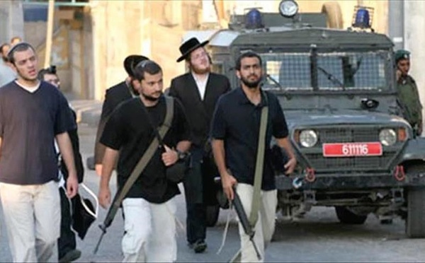 En Cisjordanie occupée : Des colons israéliens illégaux s'en prennent à des habitations et des véhicules palestiniens