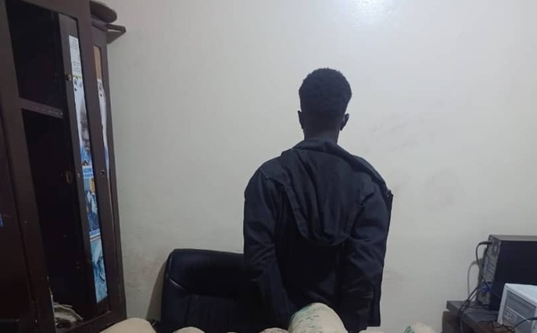 Trafic de drogue : un cultivateur intercepté avec 3 kg de chanvre à Sédhiou