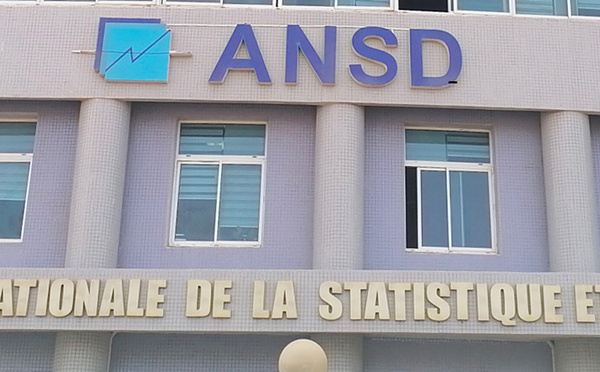 Création d’entreprises : près de 95 000 nouvelles immatriculations au NINEA en 2025