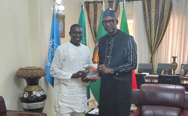 Diplomatie économique : Bamba Touré rencontre le ministre Abdoulaye Diop à Bamako