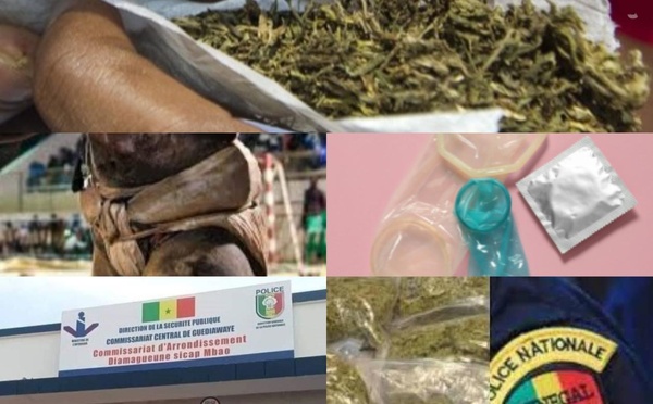 Diamaguène : un lutteur interpellé en situation compromettante avec drogue et objets prohibés