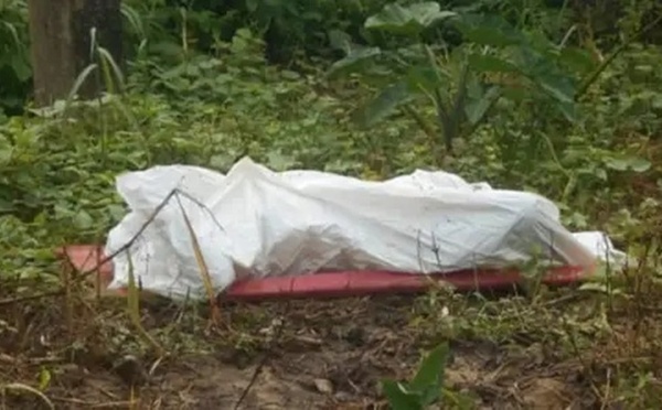 Drame à Warang : le corps sans vie d’une fillette découvert dans un champ de manguiers