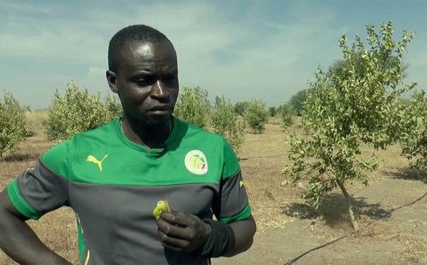 Sénégal : Ferdinand Coly cité dans un dossier de 16 milliards FCFA épinglé par la Cour des comptes