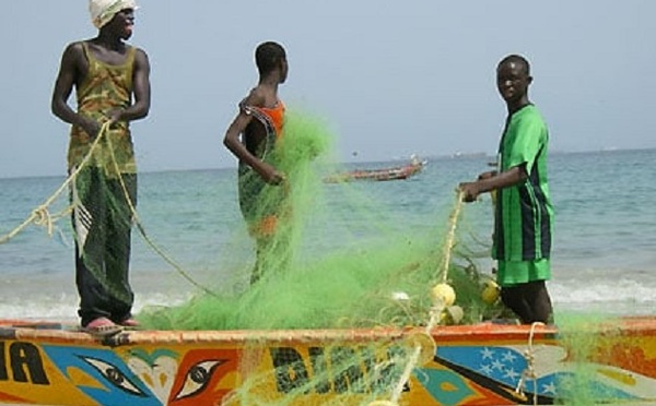 Ziguinchor : l’Union pour la Croissance de la Pêche du Sud dénonce des lobbies dans l’attribution des licences