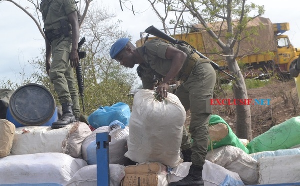« Les gendarmes ne sont pas des scientifiques » : la réplique de Me Terence Senghor, avocat du Gambien arrêté dans une affaire présumée de trafic de drogue