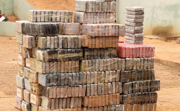 Trafic international de drogue : 970,6 kg de cocaïne interceptés dans le Sud-Est du Sénégal