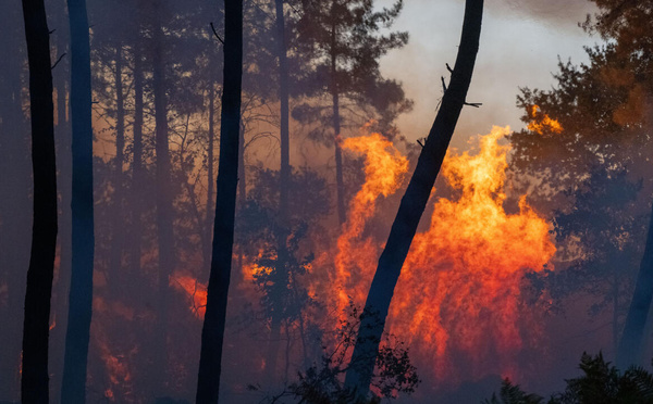 Incendies en France : le gouvernement annonce plus de 160 interpellations
