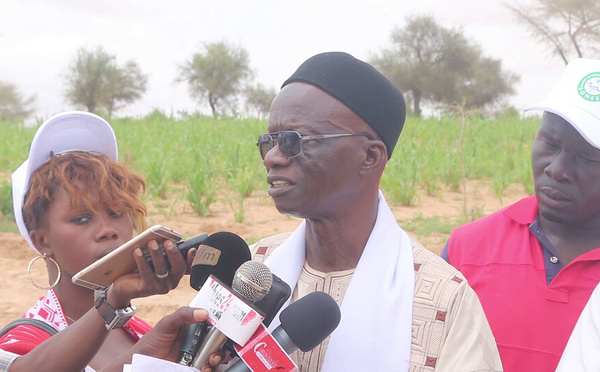 Guédiawaye : décès de l’imam Youssoupha Sarr