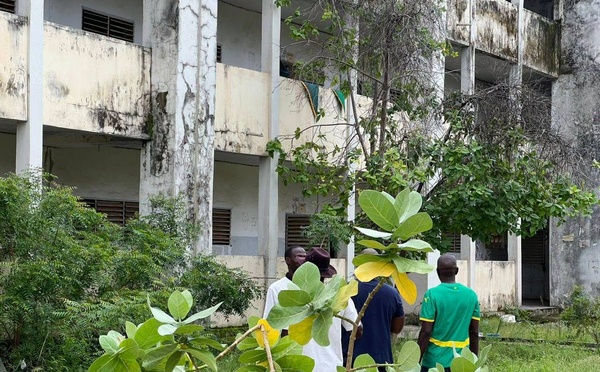 Ziguinchor : Guy Marius Sagna alerte sur le lycée de Djibock