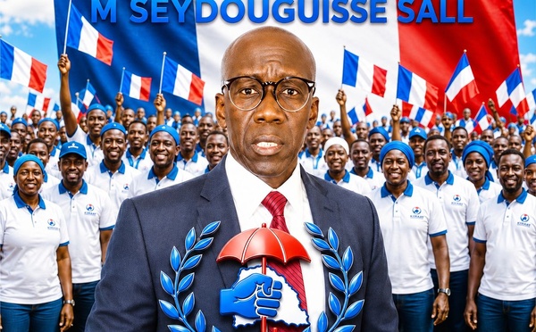 Diaspora : Seydou Guisse Sall prend les commandes de KIIRAAY France