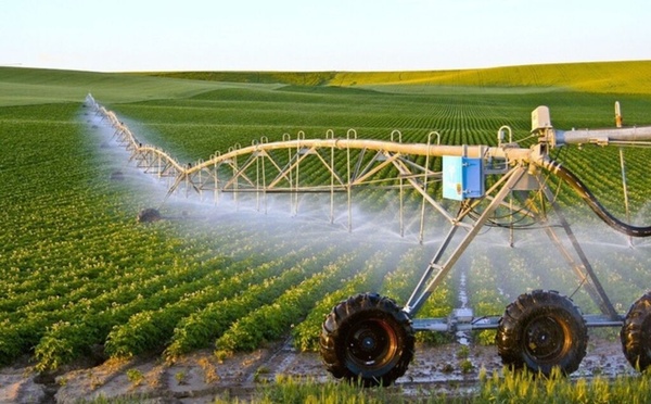 Groupe Bamba Ndiaye : BTP, immobilier et agriculture au service d’une vision de long terme