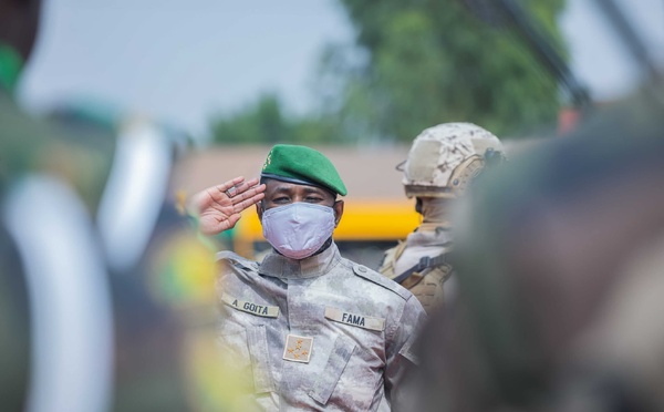 Algérie-Mali : L’offensive de la dernière chance face au chaos sahélien