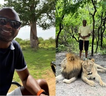 Équipe nationale : Patrick Vieira séjourne au Sénégal et se rapproche des Lions