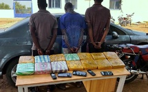 Lutte contre le trafic de drogue : trois individus interpellés à Aéré Lao avec 14 kg de chanvre indien