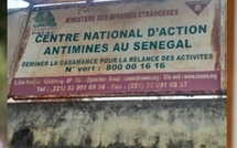Casamance : Le Directeur général du CNAMS limogé 