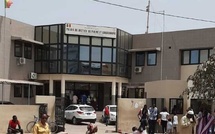 Tribunal d’instance de Pikine : la présence de serpents inquiète magistrats et justiciables