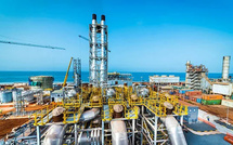 Sénégal : la Senelec prend le contrôle total de West African Energy 