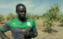 Sénégal : Ferdinand Coly cité dans un dossier de 16 milliards FCFA épinglé par la Cour des comptes