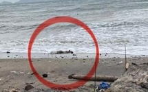 Plage de Cambérène : un corps en état de décomposition avancée retrouvé