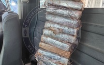 Trafic de drogue : 92 kg de cocaïne saisis à Dakar, un individu arrêté