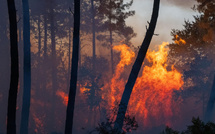 Incendies en France : le gouvernement annonce plus de 160 interpellations
